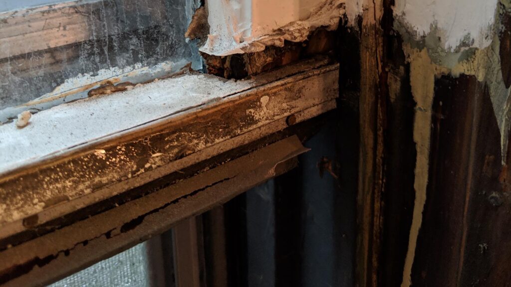 Close-up of a deteriorating wooden window frame.