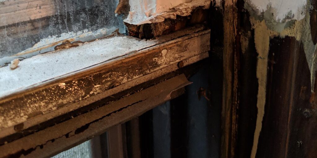 Close-up of a deteriorating wooden window frame.